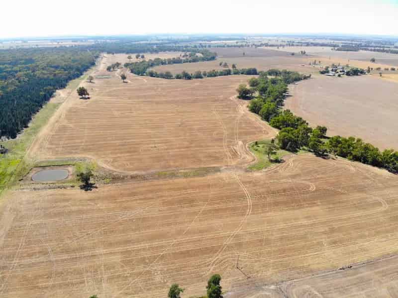 Rural property For Sale , Grenfell, New South Wales