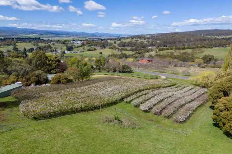 Rural For Sale in Launceston, Tasmania