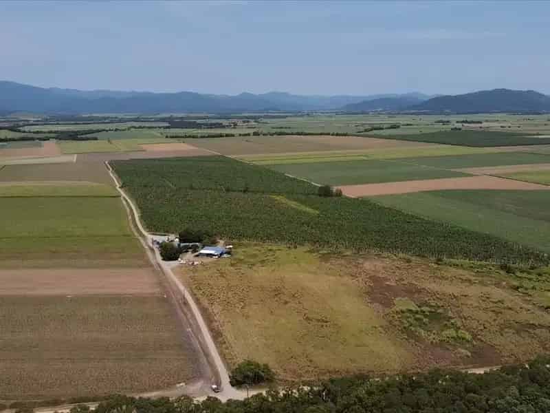 Land For Sale , Cassowary Coast Regional, Queensland