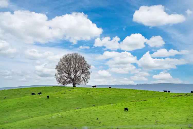 Rural For Sale in Snowy Valleys Council, New South Wales