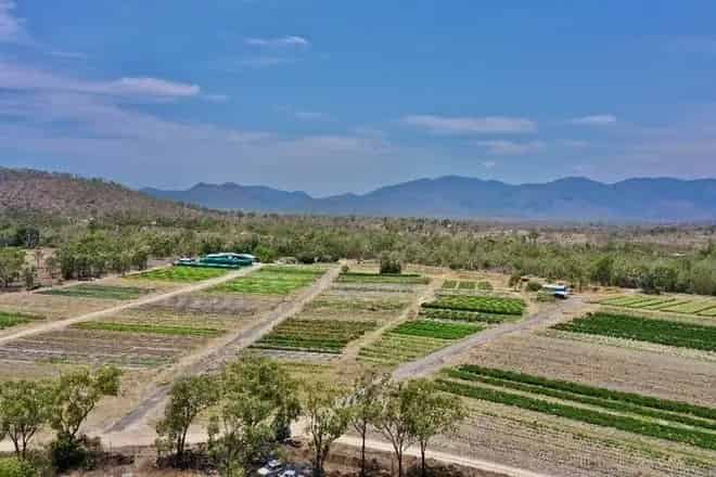 Rural property For Sale , 1, Greta Road, Townsville City, Queensland