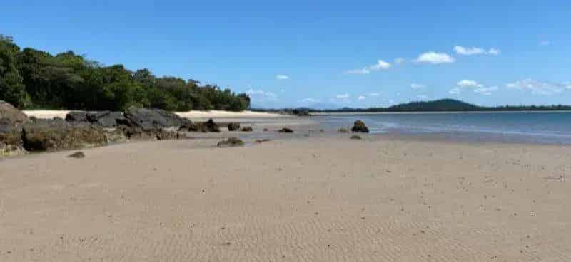 Buy Rural Property in Mission Beach with Stunning Rainforest and Ocean Views