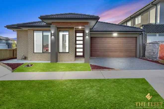 Brand New Single Storey Home in Woodlea