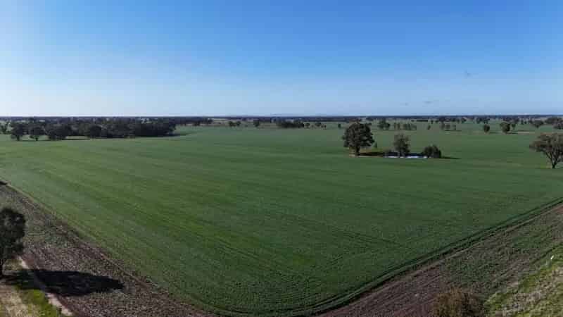 Buy Rural Property in Shepparton - Large Dryland Cropping and Grazing