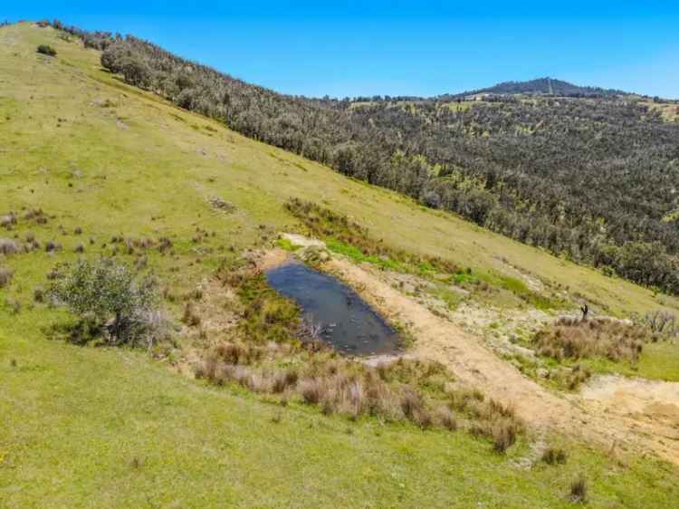 354 Acre Lifestyle Block with Magnificent Views