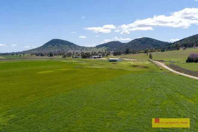 Land For Sale in Mid-Western Regional Council, New South Wales