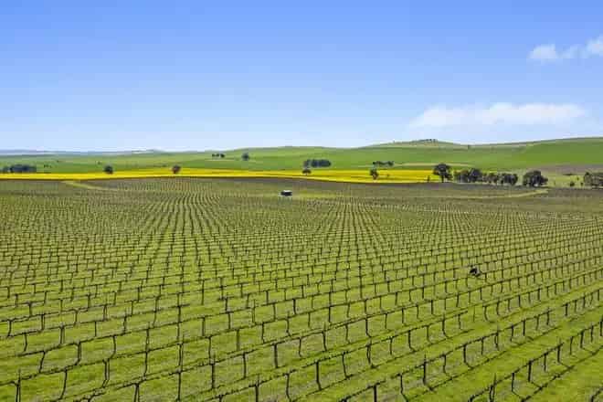 Rural property For Sale , Clare and Gilbert Valleys Council, South Australia