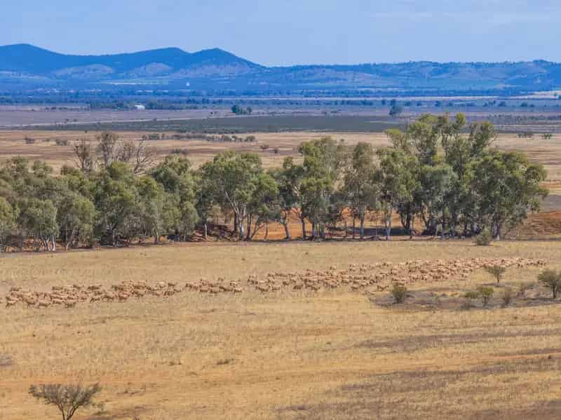 Easily Managed Grazing Country