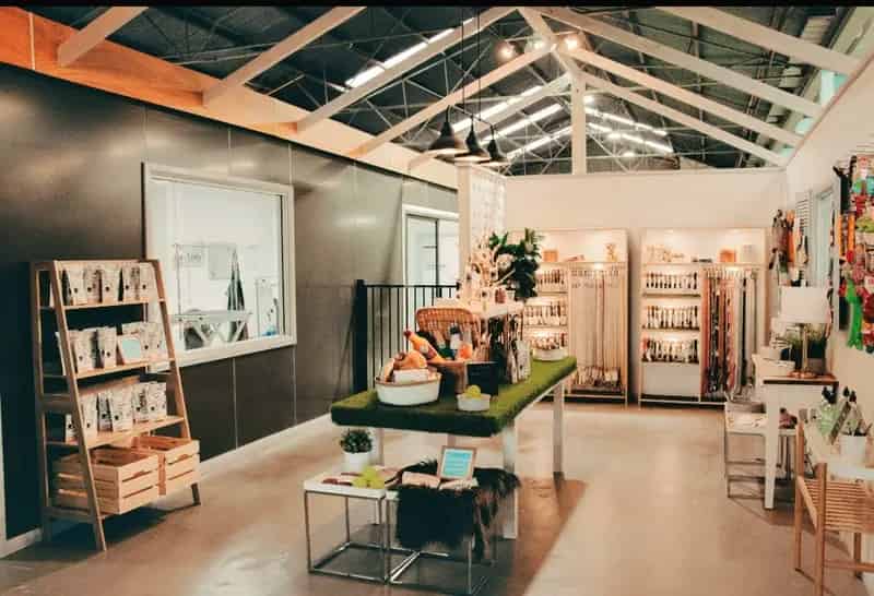 Buy Commercial Property Dog Grooming Daycare Boutique Shop Queanbeyan NSW