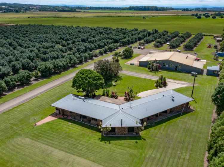 30-Acre Atherton Tablelands Lifestyle Property with Avocado Orchard and Packing Shed