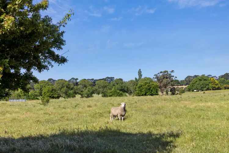 Geddes Estate - A Boutique 9 Lot Lifestyle Subdivision. Land Now Selling