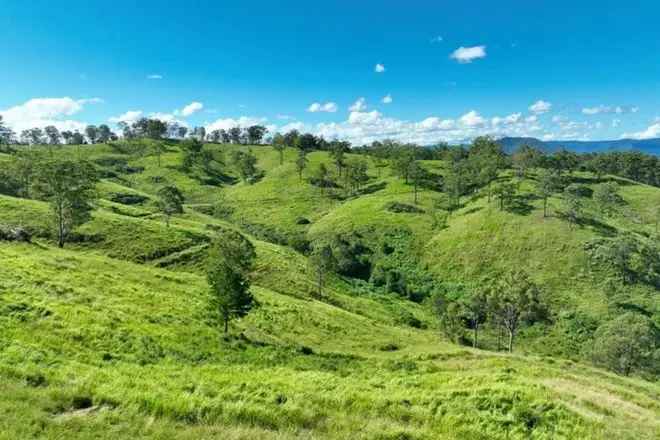 232.5 Acres of Undulating Land for Cattle Farming