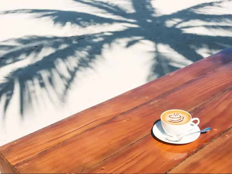 Buy Beachfront Café in Tasmania Fully Fitted Ready to Operate