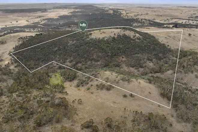 Acreage For Sale in Snowy Monaro Regional Council, New South Wales