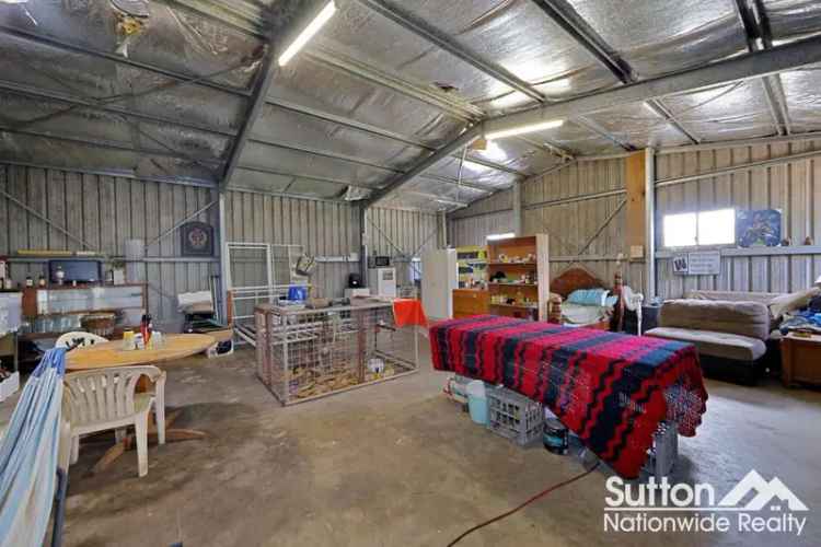 Off Grid 40.5ha Bushland Property with Shed and Orchard