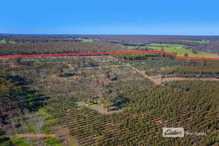 Rural For Sale in Shire Of Bridgetown-Greenbushes, Western Australia