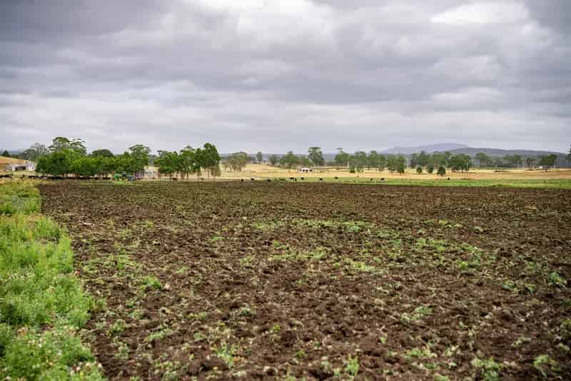 Rural property For Sale , Buckland, Tasmania