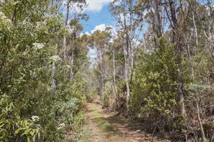 Tasmanian Native Bushland Property Near Launceston and Hobart