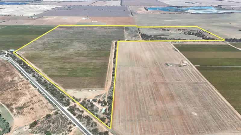 Irrigated Vineyard - Residence , Shedding and Infrastructure