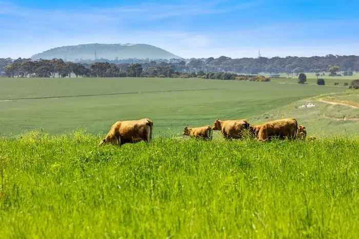 Rural Property with Moorabool River Frontage - Minutes from Bannockburn