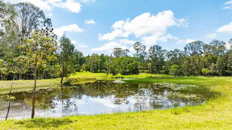 Noosa Hinterland Retreat: Nature & Comfort Combined
