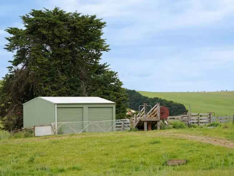 Auction of Rural Property in Coleraine with Cattle Yards and Sheds