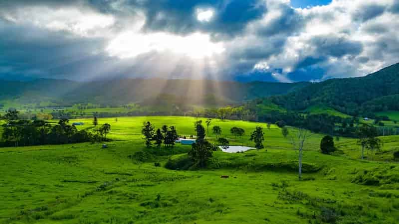 Unleash Your Imagination at "Cielo Verde Acres"