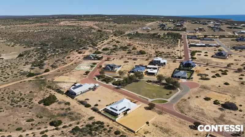 Emus & Kangaroos as your Neighbours