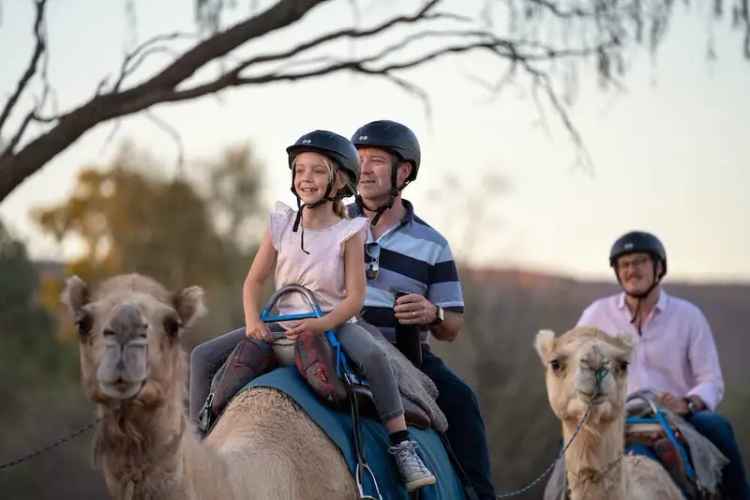 Iconic Camel Ride Tourism Business – Alice Springs, NT