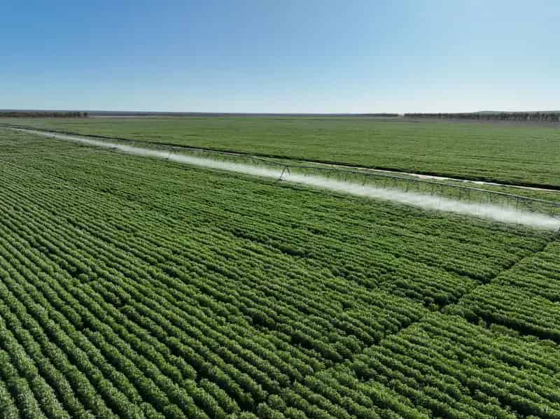 Unprecedented Large Scale Cropping & Cattle Backgrounding Operation