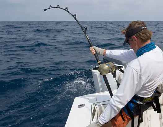 Buy Fishing Tackle Retail Business on the Gold Coast with Growth Potential