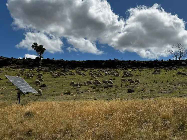 Rural For Sale in Wollongong City Council, New South Wales