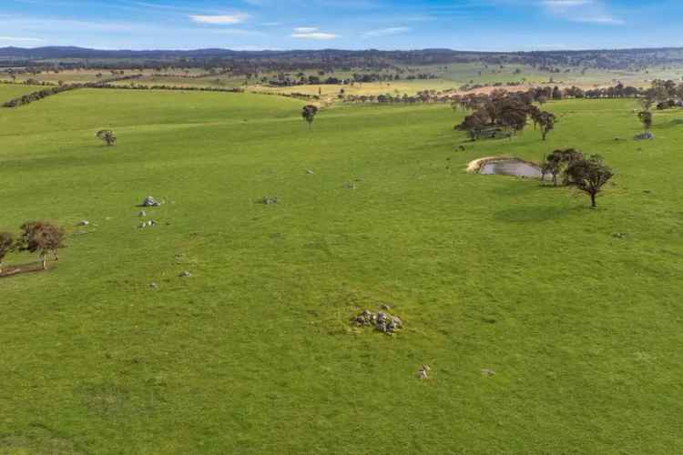 Rural For Sale in Armidale Regional Council, New South Wales