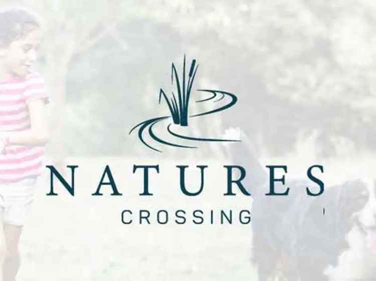 Natures Crossing Estate Homes for Sale