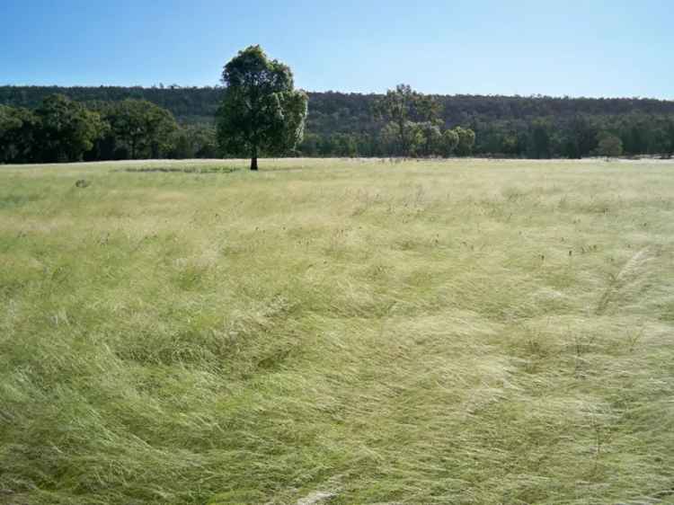 Your own piece of Australia with Carbon and Biodiversity Credit Potential