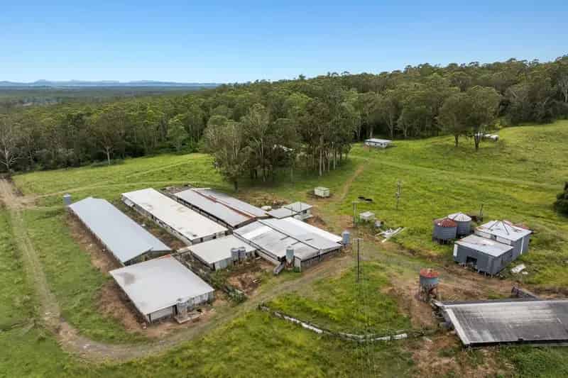 Piggery and Cattle Grazing Property