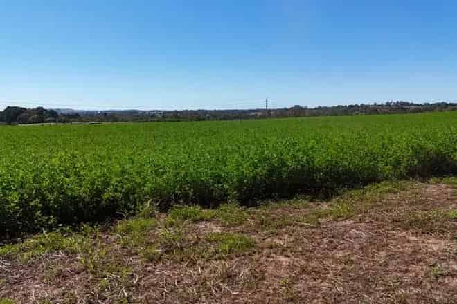 Rural property For Sale , Paynesville, Victoria
