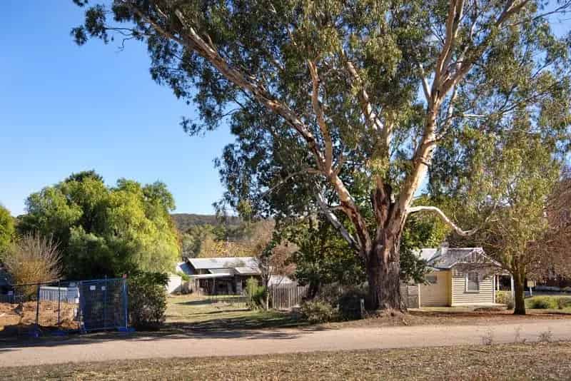Quiet, Elevated and Ready to Build 703m² in Campbells Creek