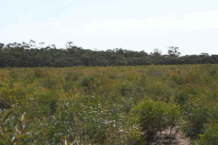 Rural For Sale in Town of Cambridge, Western Australia