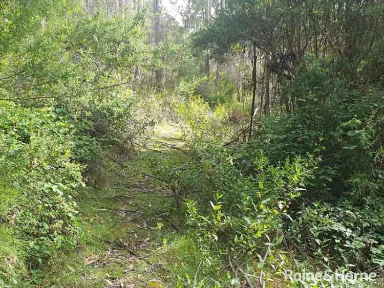 House For Sale in Gordon, Tasmania