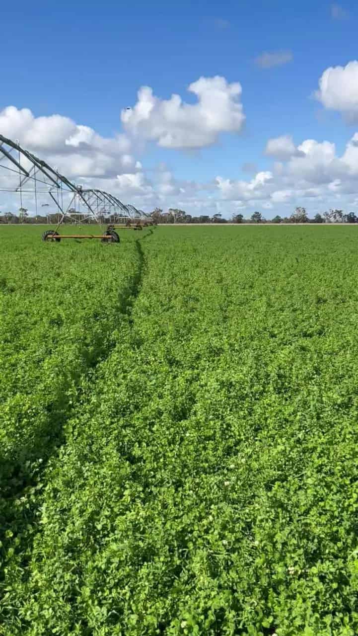 Rural property For Sale , South Australia
