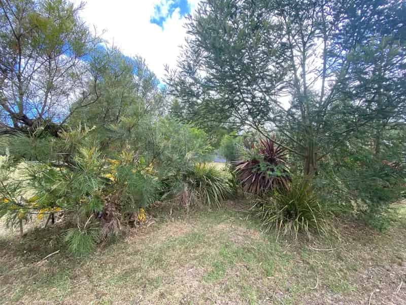 Buy land in Mallacoota with established gardens and nature reserve access