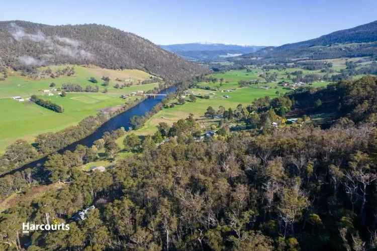 Peaceful Bushland Escape