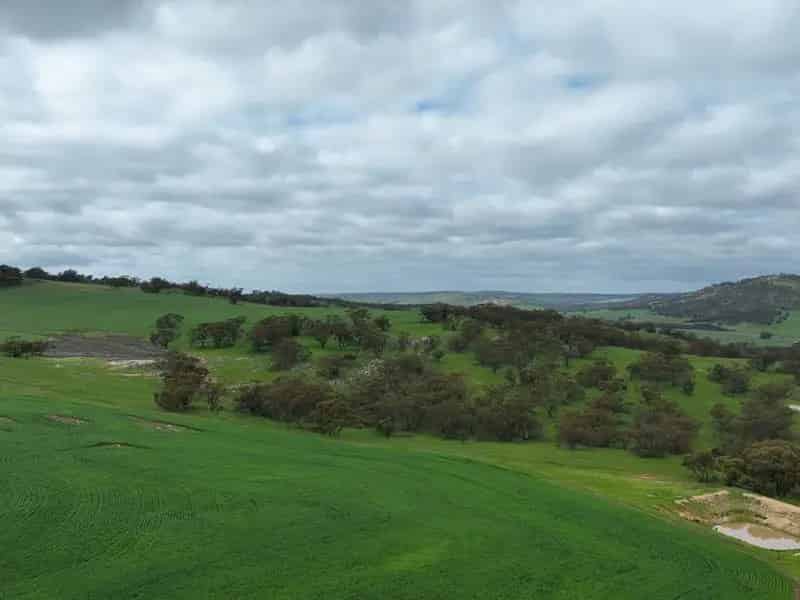 Land For Sale , Shire Of Toodyay, Western Australia
