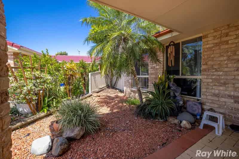 Buy Family Home in Forster with Tropical Gardens and Modern Features