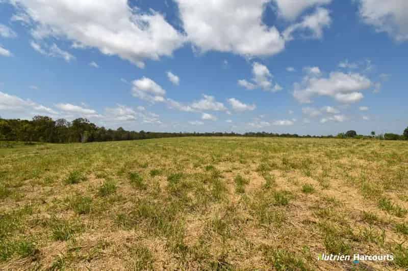 Buy Rural Property in Bundaberg with Livestock and Horticulture Options