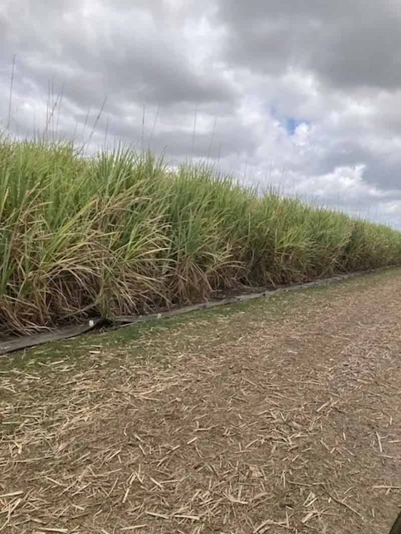 Rural property For Sale , Ayr, Queensland