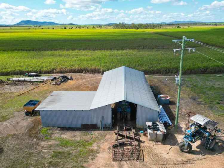 Rural For Sale in Mackay Regional, Queensland