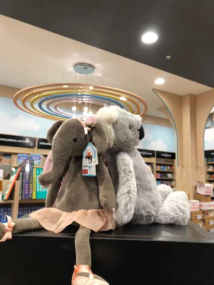 Own your own Dymocks Bookstore in Noosa QLD