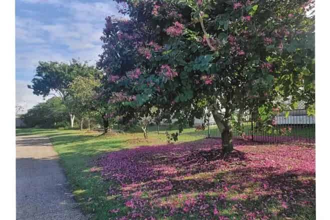 House For Sale , Bundaberg, Queensland